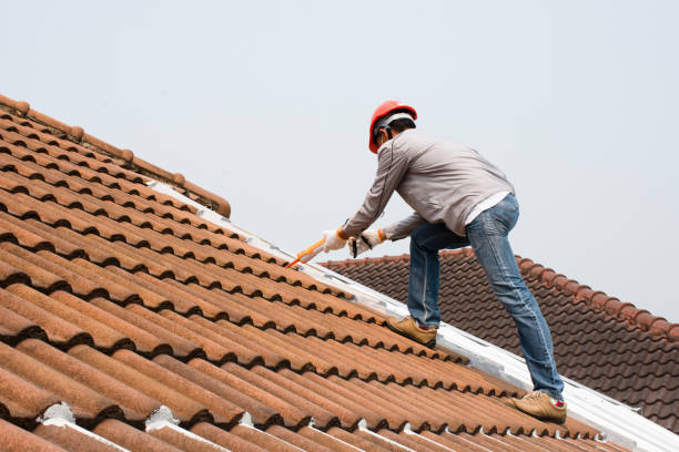 Best Roof Coating and Sealing  in Farmington, MN